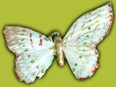 papillon